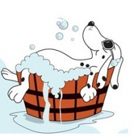 K'NONOS Toilettage pour chiens et chats photo